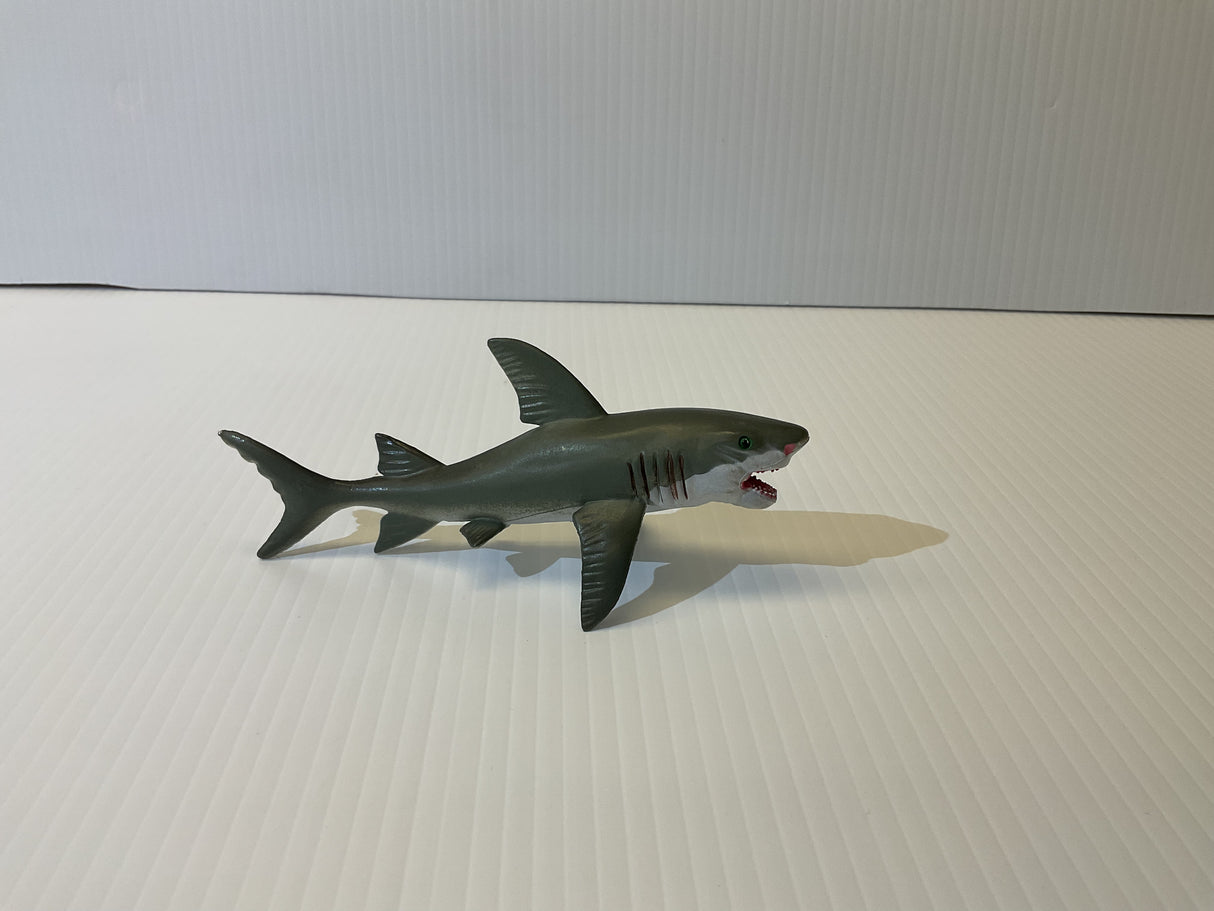 Young Great White Shark | MAJ12816 | Mamejo