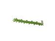 Green model guard rail section for train set for Aurora Tomy AFX Vintage AFX8648GX