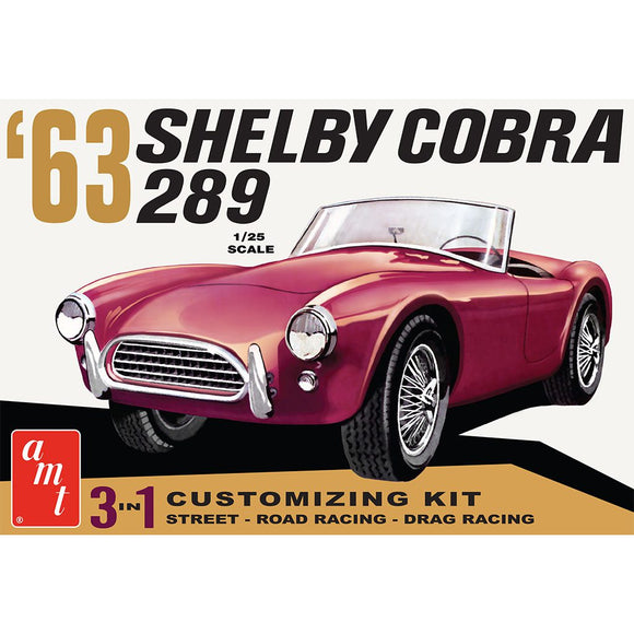 Second Chance Shelby Cobra 289 1:25 Scale Model Kit | AMT1319 | Round2