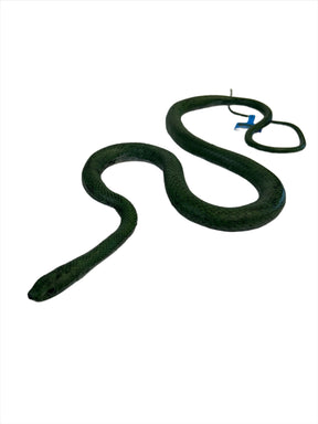 Green rat snake coiled on white background for Mamejo MAJ22210