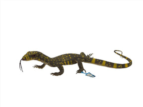 Yellow and black baby monitor lizard toy with attached tag for Mamejo MAJ22200
