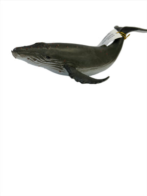 Blue whale model displaying its side profile for Mamejo MAJ12215