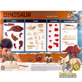 Triceratops Anatomy Excavation Kit | IMX17233 | King Me World