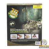 Brachiosaurus Archeology Skeleton Set | IMX49017 | IMEX-Stem