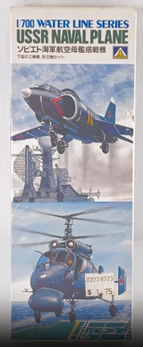 USSR NAVAL PLANE | WL*100 | Aoshima