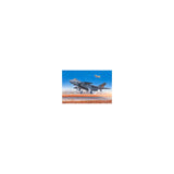 Source reference image for Chinese J-20 Mighty Dragon | 01663 | Trumpeter