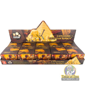 Excavation kit for exploring an ancient Egyptian mummy dig for King Me World IMX17234