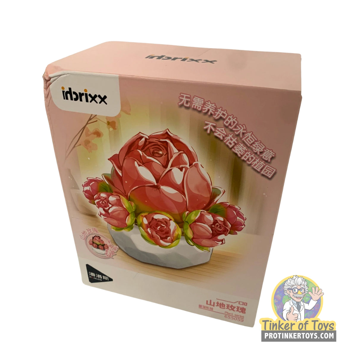 Inbrixx Botanical Series – Mountain Rose Succulent (Echeveria ‘Mountain Rose’) – Model INBX65059