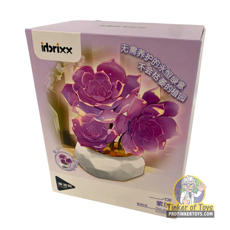 Inbrixx Botanical Series – Purple Delight Succulent (Graptopetalum paraguayense ‘Purple Delight’) – Model INBX65061
