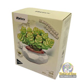 Inbrixx Botanical Series – Crassula Succulent (Crassula marineriana) – Model INBX65065