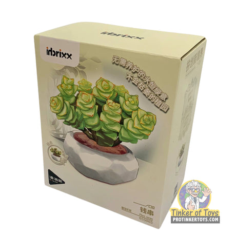 Inbrixx Botanical Series – Crassula Succulent (Crassula marineriana) – Model INBX65065