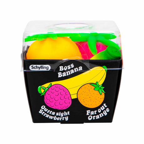 Nee Doh Groovy Fruit Package Side