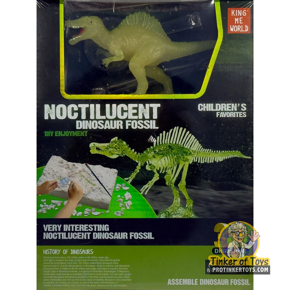 Noctilucent Dinosaur Fossil Assembly Kit with Glow Figure (Spinosaurus) | IMX17225 | King Me World