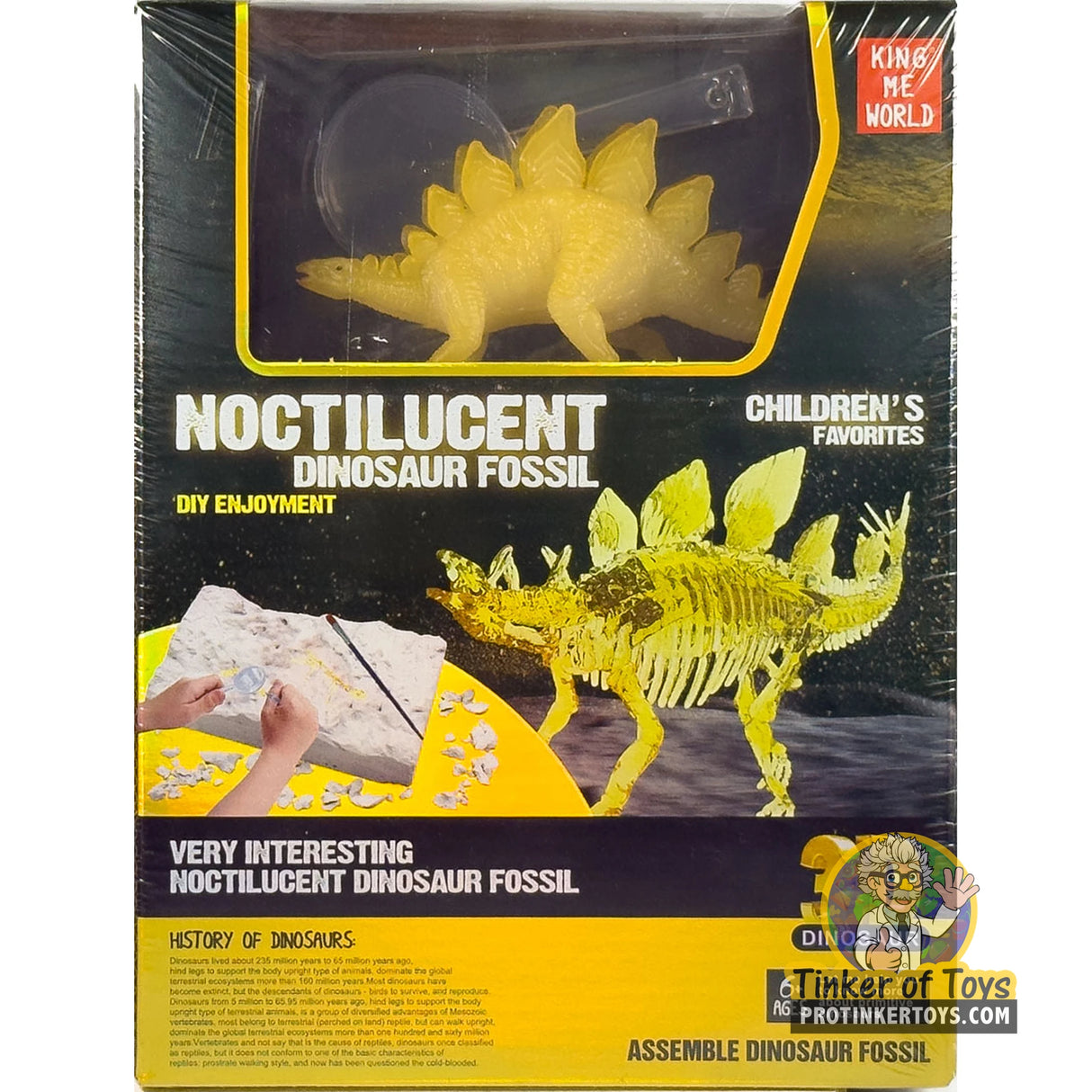 Noctilucent Dinosaur Fossil Assembly Kit with Glow Figure (Stegosaurus) | IMX17224 | King Me World
