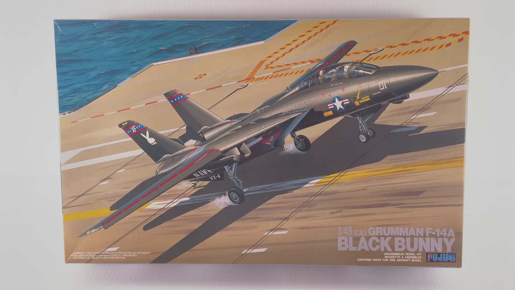 Grumman F-14A Black Bunny 1:48 | PENDING-1692001-07101056-C159 | Needs Brand Review