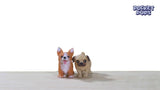Squeezable pocket pups video
