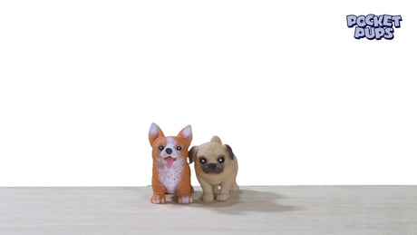 Squeezable pocket pups video