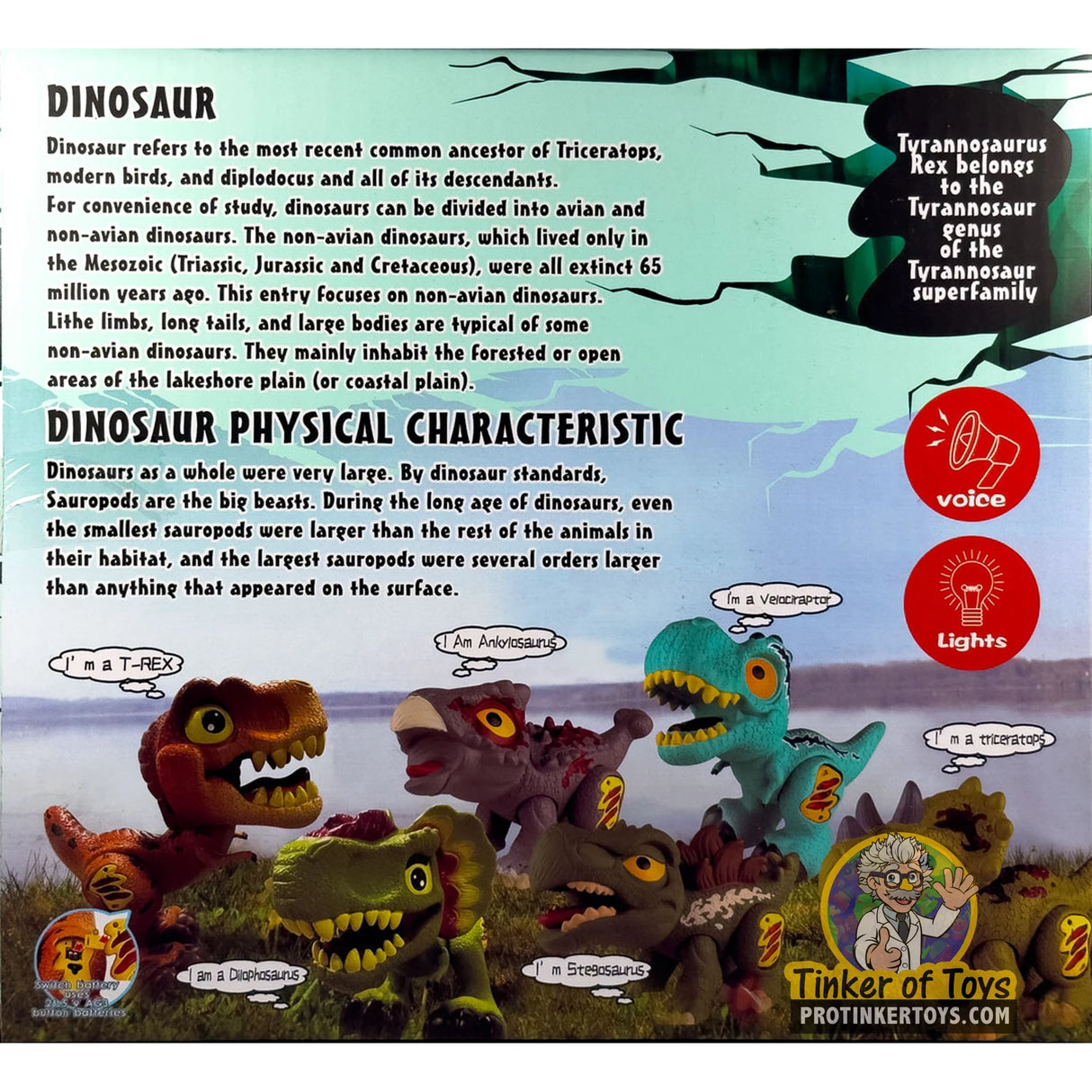 Sofubi Cartoon-Style Triceratops Dinosaur with Lights & Sounds | IMX17207 | King Me World