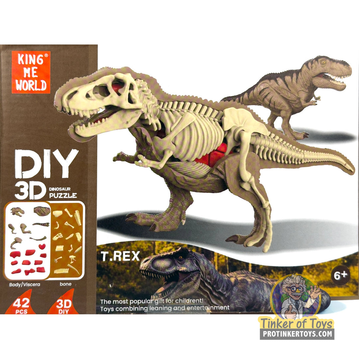 T-Rex 3D Dissection Puzzle | IMX17254 | King Me World