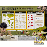 T-Rex Anatomy Excavation Kit | IMX17232 | King Me World
