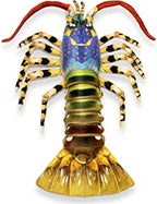 Blue Australian lobster sculpture with long claws and fan tail for Real Planet LB60B
