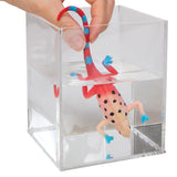 Color Changing Revealeons | CCRA | Schylling-Schylling-[variant_title]-ProTinkerToys
