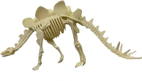 Dinosaur skeleton model kit, assembled for display for BVP 88884