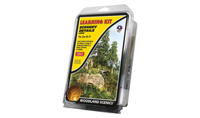 Learning kit for scenery details, showing techniques for creating realistic dioramas for WoodLand LK956
