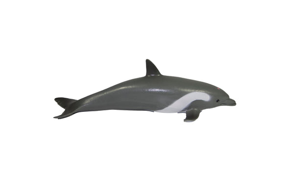 Large Dolphin 9