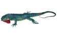 Green iguana lizard with red mouth, coiled tail, displayed on white background for Mamejo MAJ22221