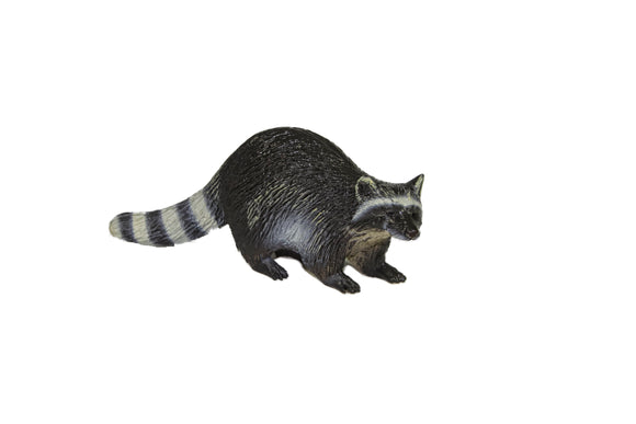 Large Raccoon 5.5
