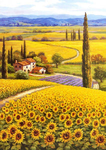 Sunflower Field 1000 PC | PLF1172 | PuzzleLife