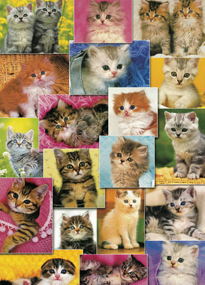 A collage of cute kittens in various poses and colors for PuzzleLife PLF1255