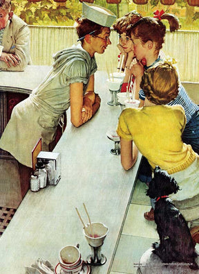Group of people socializing at a soda shop counter for PuzzleLife PLF752
