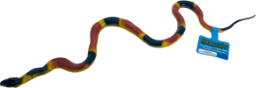 Colorful, coiled poisonous snake specimen with identification tag for Mamejo MAJ22202