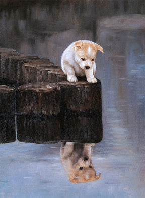 Puppy sits on wooden pilings, looking at viewer with wet reflection below for Tomax TOM50-020