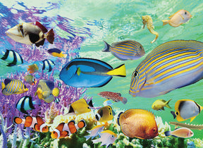 Vibrant coral reef teeming with colorful tropical fish swimming in clear blue water for Tomax TOM50-032