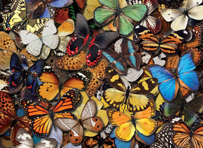 Vibrant, overlapping collection of colorful butterfly wings for Tomax TOM50-110