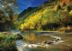 Autumn colors along the flowing Arrow River in New Zealand for Trefl TRF10317