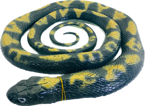 Adult Python Snake 62" | MAJ22203 | Mamejo