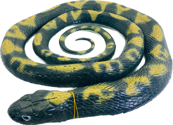 Python Snake 62