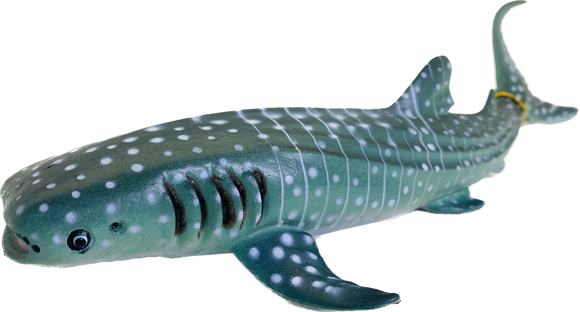 LG Whale Shark 9