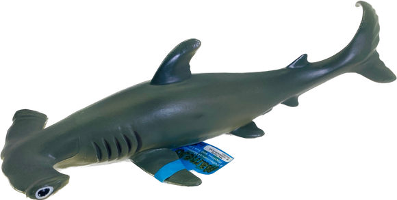 Hammerhead Shark 9