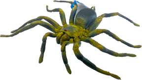 Green tarantula spider with visible abdomen, spread legs for Mamejo MAJ22215