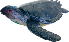 Small sea turtle figurine with dark shell and visible eye for Mamejo MAJ12814