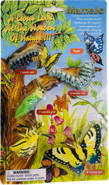 Monarch Butterfly Metamorphosis Set | MAJ12830 | Mamejo