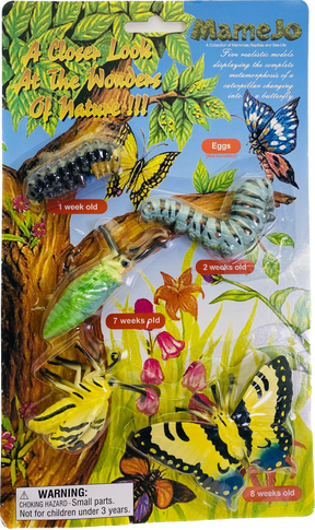 Stages of butterfly life cycle: egg, larva, pupa, and adult butterfly for Mamejo MAJ12830
