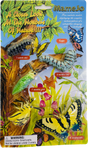 Stages of butterfly life cycle: egg, larva, pupa, and adult butterfly for Mamejo MAJ12830