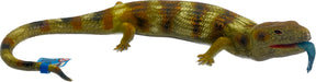 Large blue tongue skink reptile with patterned body and bright blue tongue for Mamejo MAJ22244