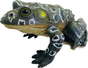 Realistic bullfrog figurine with detailed texture and bright eyes for Mamejo MAJ12818